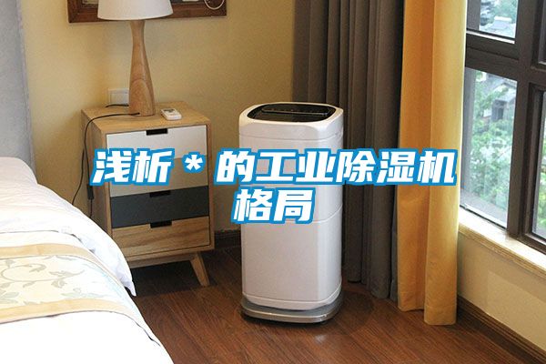 浅析*的工业除湿机格局
