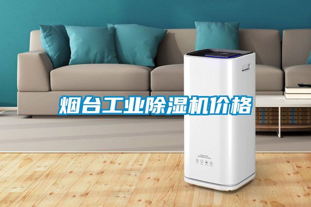 烟台工业除湿机价格