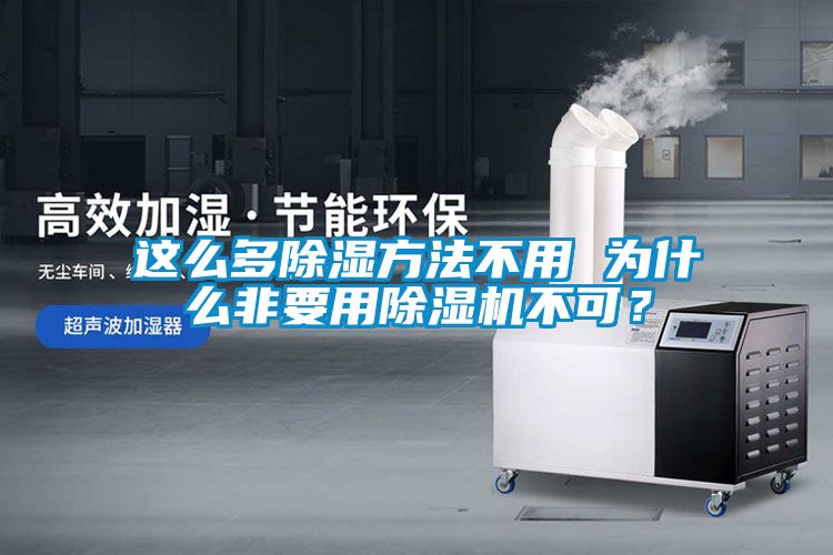 这么多除湿方法不用 为什么非要用除湿机不可？
