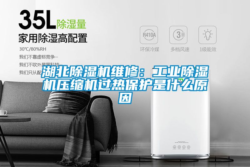 湖北除湿机维修：工业除湿机压缩机过热?；な鞘裁丛?/></p>
						    <p style=