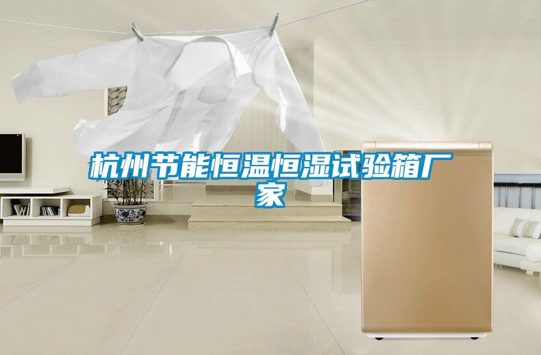 杭州节能恒温恒湿试验箱厂家