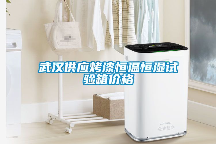 武汉供应烤漆恒温恒湿试验箱价格
