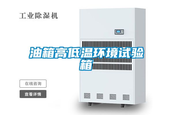 油箱高低温环境试验箱