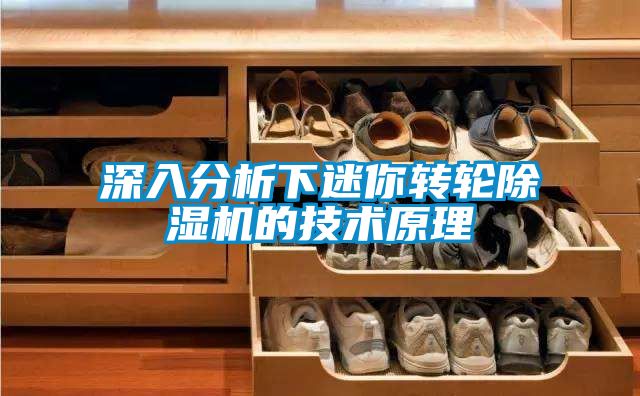 深入分析下迷你转轮除湿机的技术原理