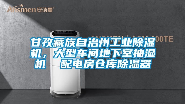甘孜藏族自治州工业除湿机，大型车间地下室抽湿机  配电房仓库除湿器