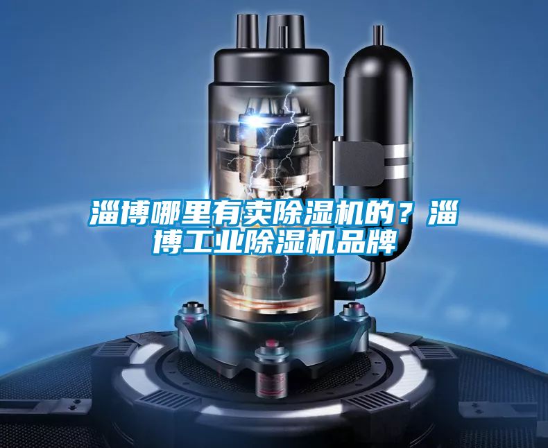 淄博哪里有卖除湿机的？淄博工业除湿机品牌