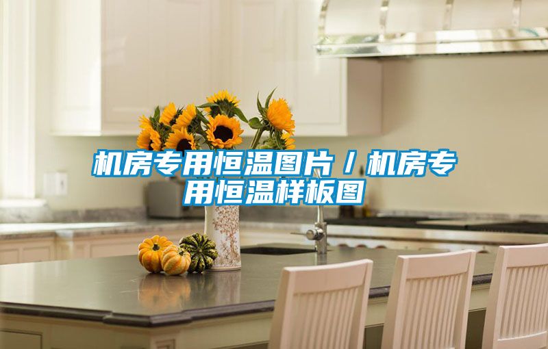 机房专用恒温图片/机房专用恒温样板图