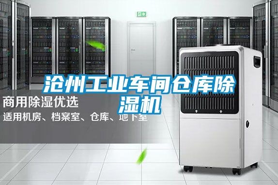 沧州工业车间仓库除湿机