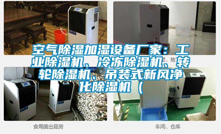 空气除湿加湿设备厂家：工业除湿机、冷冻除湿机、转轮除湿机、吊装式新风净化除湿机（