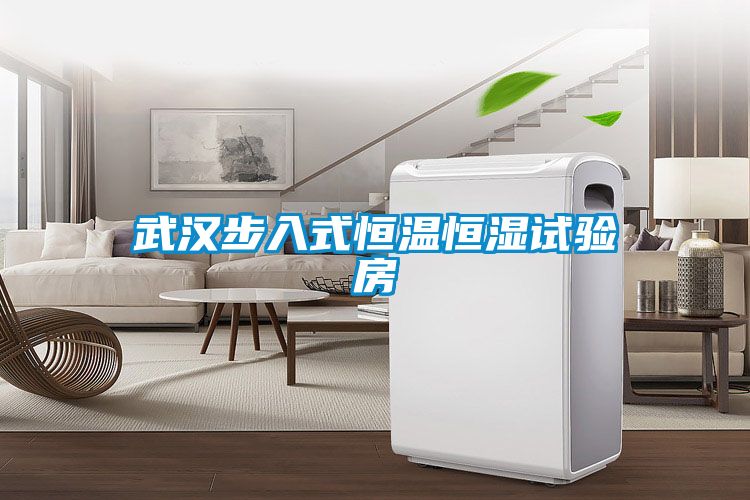 武汉步入式恒温恒湿试验房