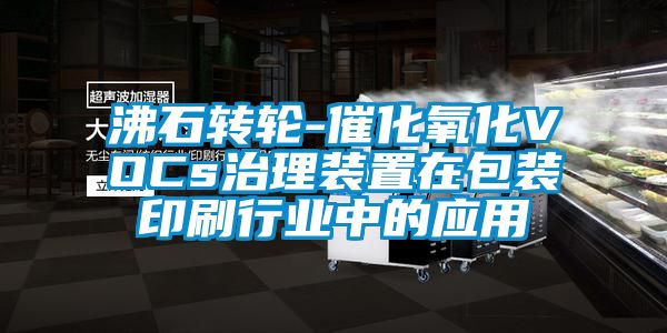 沸石转轮-催化氧化VOCs治理装置在包装印刷行业中的应用