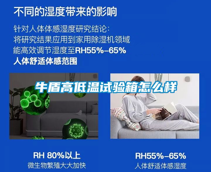 牛盾高低温试验箱怎么样
