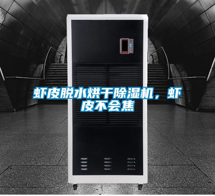 虾皮脱水烘干除湿机，虾皮不会焦