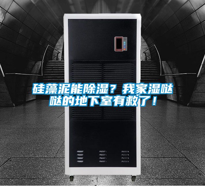 硅藻泥能除湿？我家湿哒哒的地下室有救了！