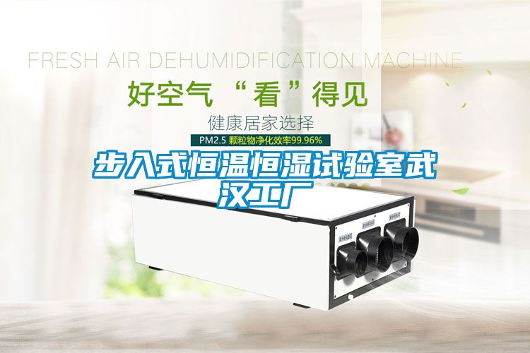 步入式恒温恒湿试验室武汉工厂