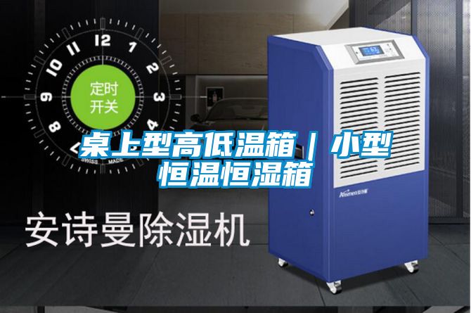 桌上型高低温箱|小型恒温恒湿箱