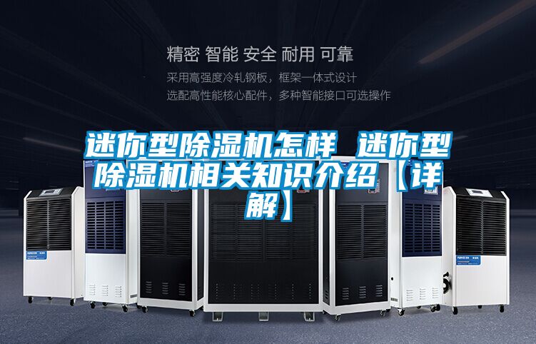 迷你型除湿机怎样 迷你型除湿机相关知识介绍【详解】