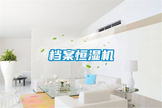 档案恒湿机