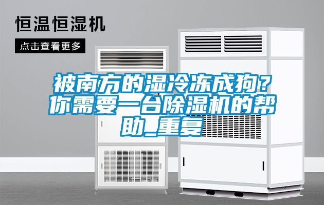 被南方的湿冷冻成狗？你需要一台除湿机的帮助_重复