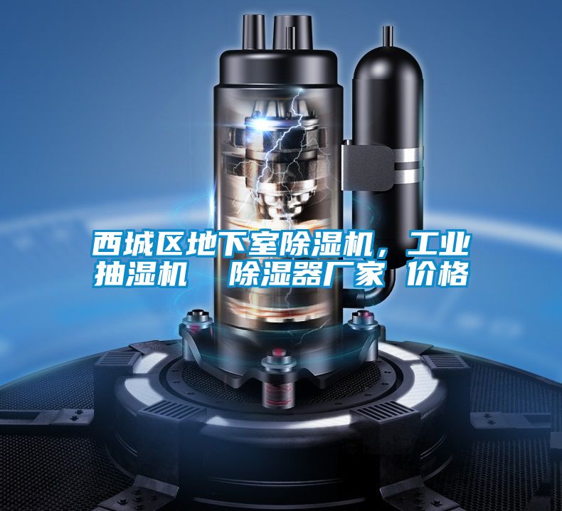 西城区地下室除湿机，工业抽湿机  除湿器厂家 价格