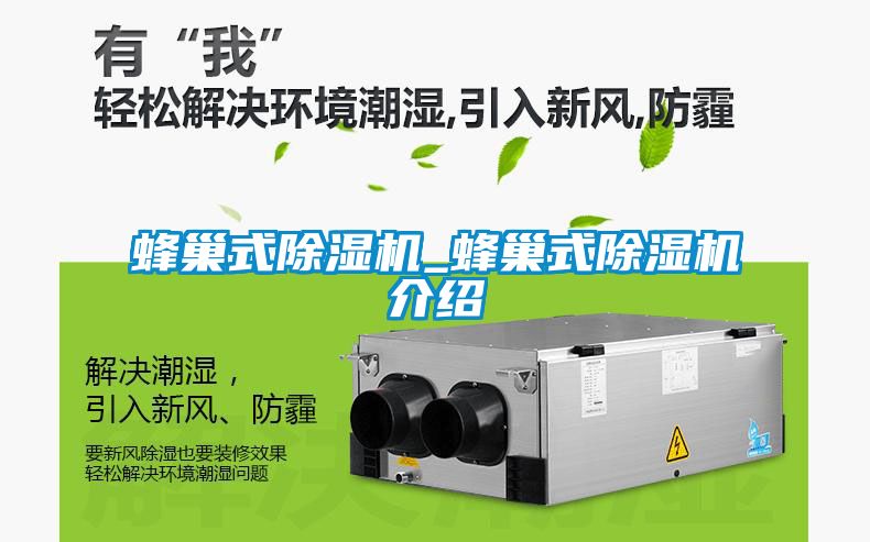 蜂巢式除湿机_蜂巢式除湿机介绍