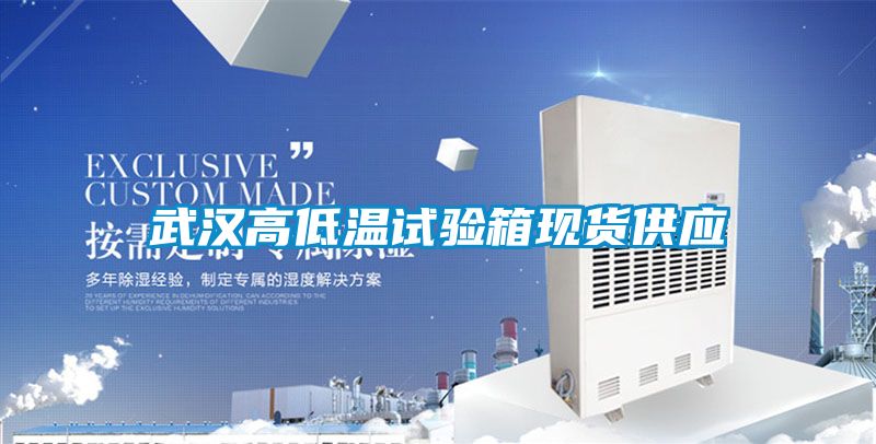 武汉高低温试验箱现货供应