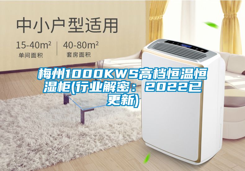 梅州1000KWS高档恒温恒湿柜(行业解密:2022已更新)