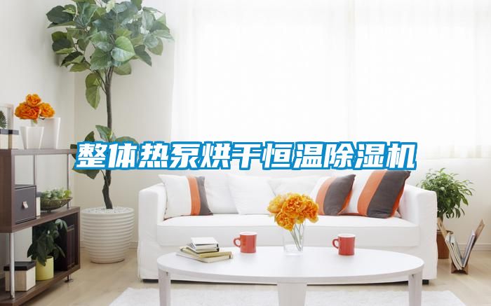 整体热泵烘干恒温除湿机