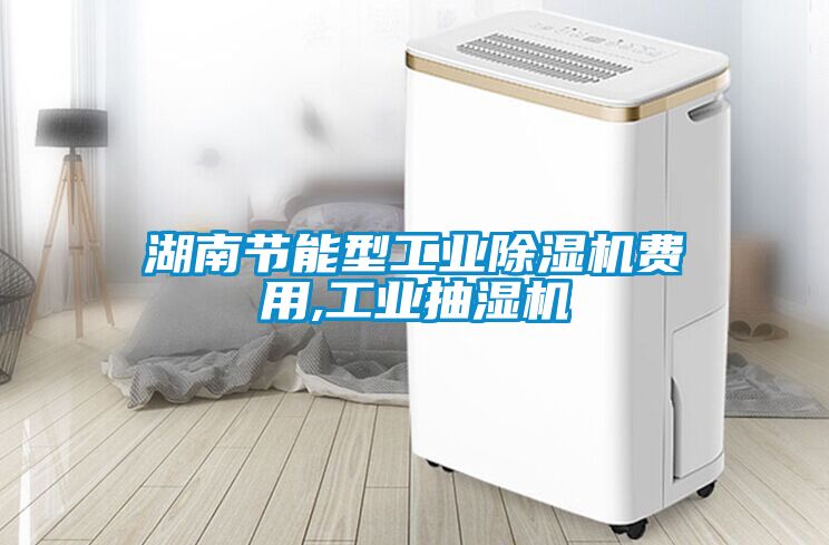 湖南节能型工业除湿机费用,工业抽湿机