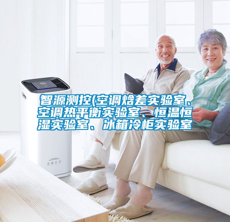 智源测控(空调焓差实验室、空调热平衡实验室、恒温恒湿实验室、冰箱冷柜实验室