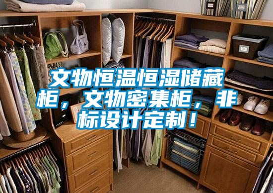 文物恒温恒湿储藏柜，文物密集柜，非标设计定制！