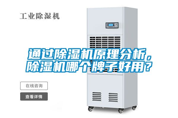通过除湿机原理分析，除湿机哪个牌子好用？