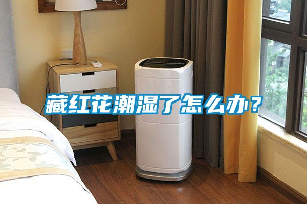 藏红花潮湿了怎么办?