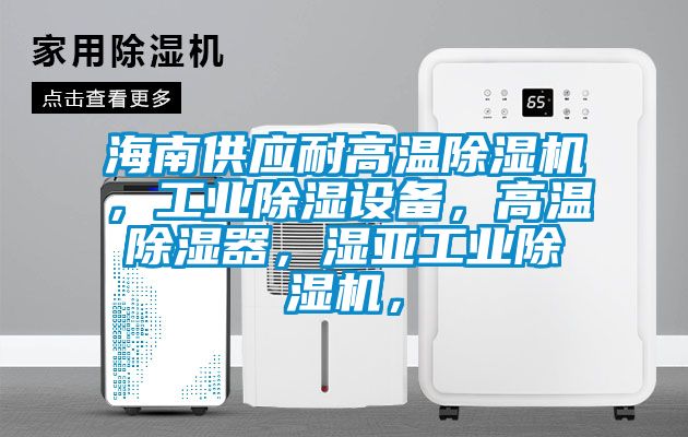 海南供应耐高温除湿机，工业除湿设备，高温除湿器，湿亚工业除湿机，