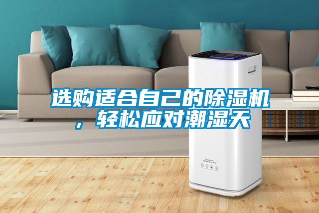 选购适合自己的除湿机，轻松应对潮湿天