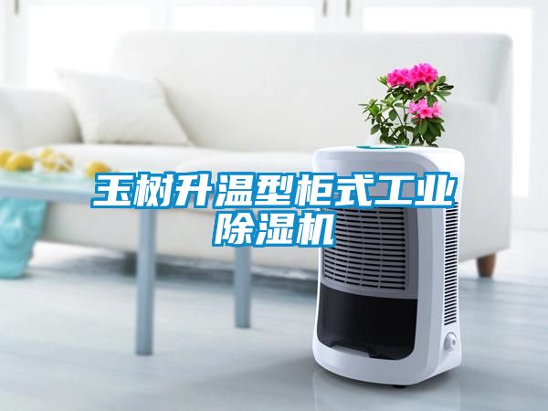 玉树升温型柜式工业除湿机