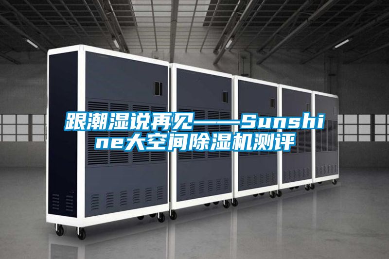 跟潮湿说再见——Sunshine大空间除湿机测评