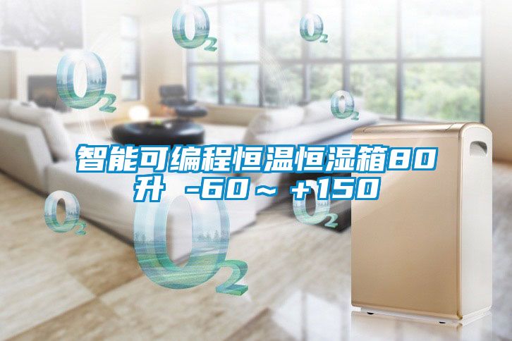 智能可编程恒温恒湿箱80升 -60~+150℃