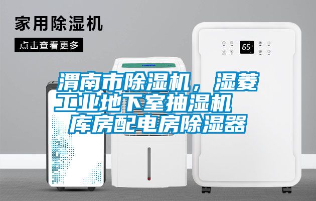 渭南市除湿机，湿菱工业地下室抽湿机  库房配电房除湿器