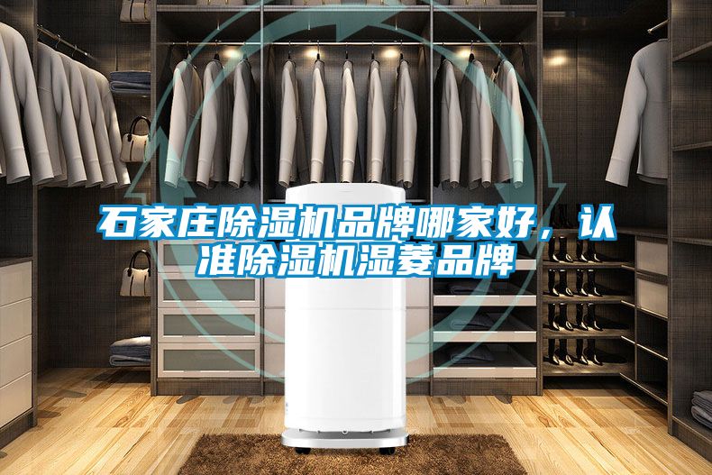 石家庄除湿机品牌哪家好，认准除湿机湿菱品牌