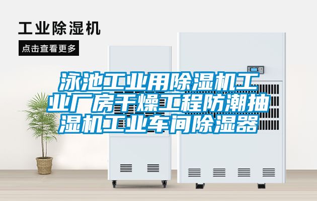 泳池工业用除湿机工业厂房干燥工程防潮抽湿机工业车间除湿器
