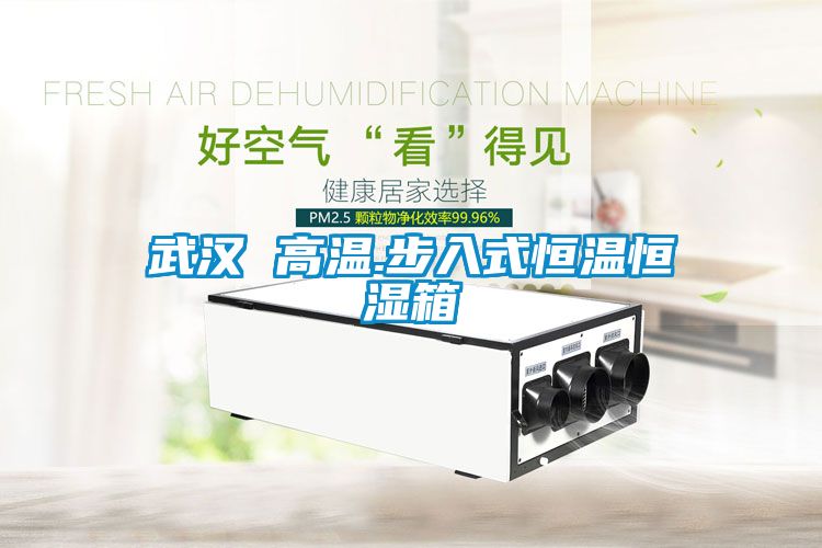武汉 高温.步入式恒温恒湿箱