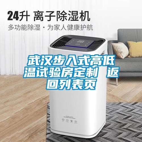 武汉步入式高低温试验房定制 返回列表页