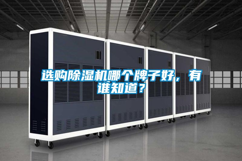 选购除湿机哪个牌子好，有谁知道？