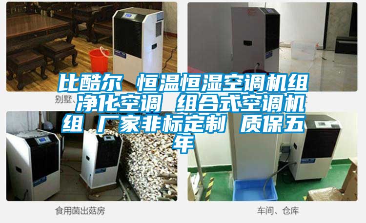 比酷尔 恒温恒湿空调机组 净化空调 组合式空调机组 厂家非标定制 质保五年