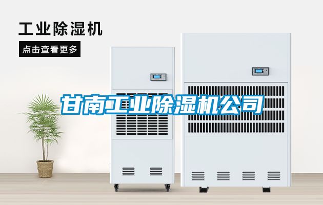 甘南工业除湿机公司