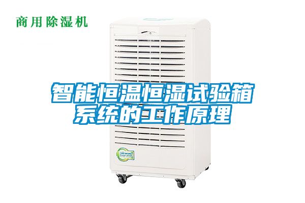 智能恒温恒湿试验箱系统的工作原理