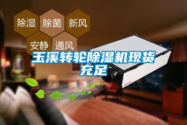 玉溪转轮除湿机现货充足