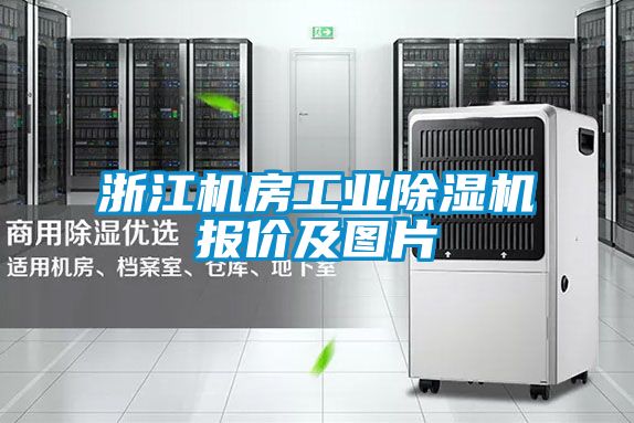 浙江机房工业除湿机报价及图片