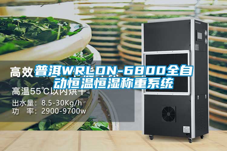 普洱WRLDN-6800全自动恒温恒湿称重系统
